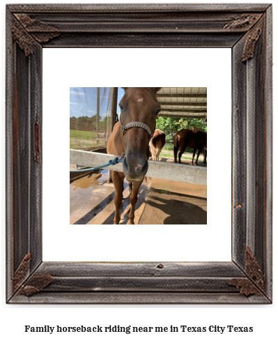 family horseback riding near me in Texas City, Texas